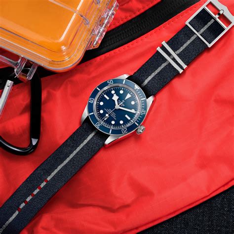 tudor-passion.com