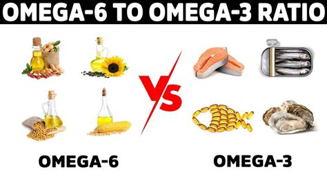 omega6是什麼